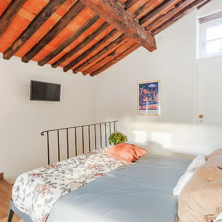 Lunavi House In * Lucca
